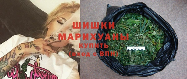 mix Богородицк