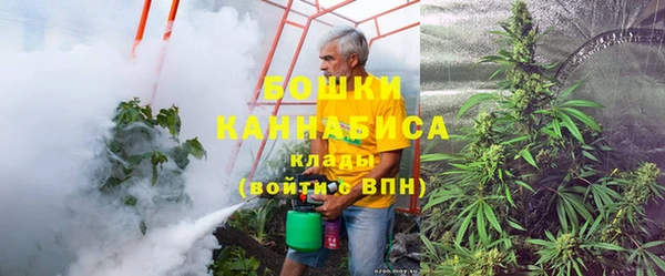амф Бронницы