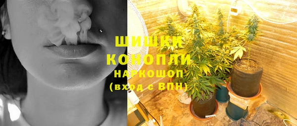 дурь Богданович