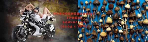 амф Бронницы